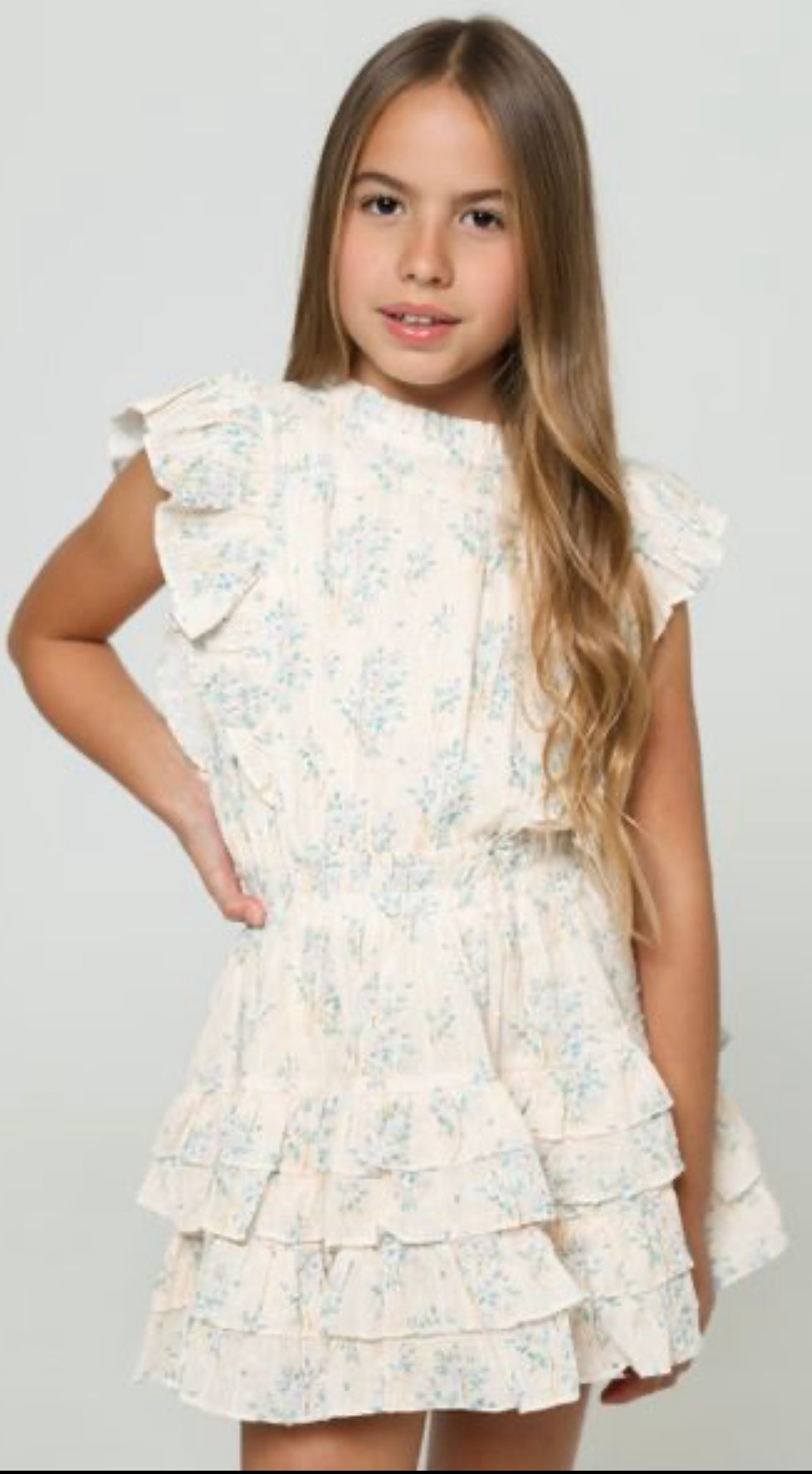 Gustavia Dress in Blue Roses