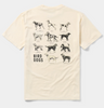 Bird Dogs Tee - Ivory