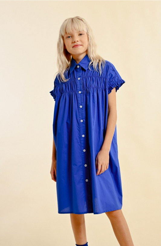 Smocked Shirt Dress