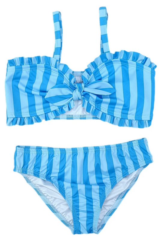 Blue on Blue Stripe 2 Piece Swim